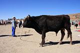 PERU - Mercado de los toros - 02